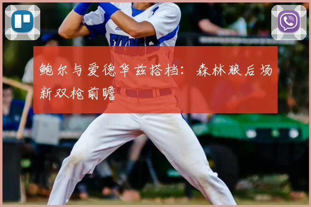 鲍尔与爱德华兹搭档:森林狼后场新双枪前瞻